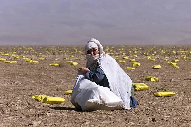 Afghan Woman Collecting US Humanitarian Aid, October 2001